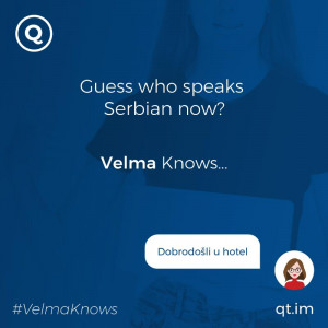  Serbian-speaking chatbot for hotels and resorts
