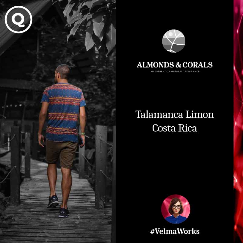 AI Hotel booking assistant in Costa Rica